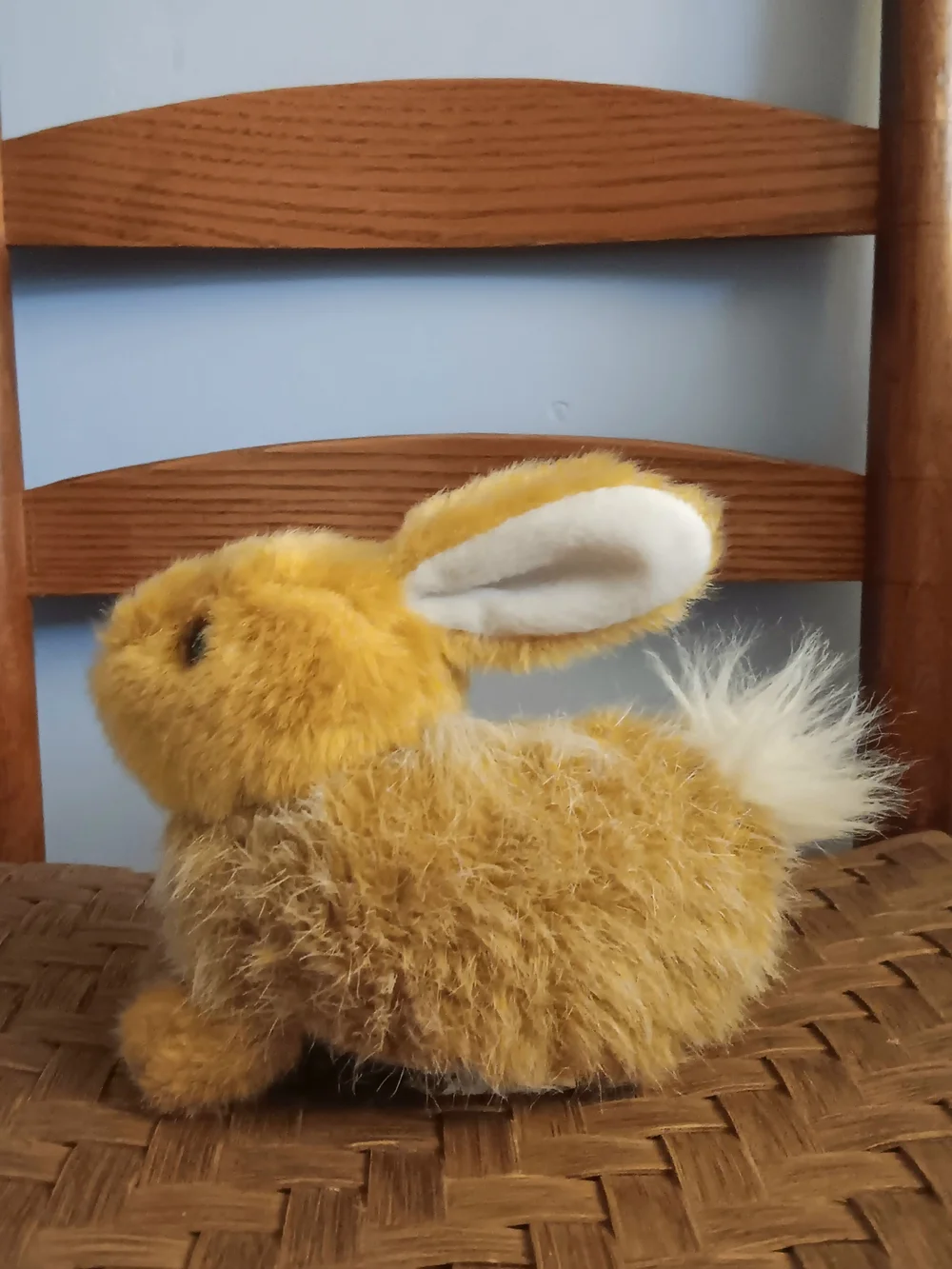 CS International Plush 7